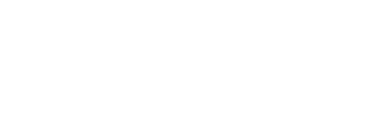 Connect more logo